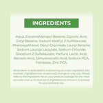 Detox Cleanser